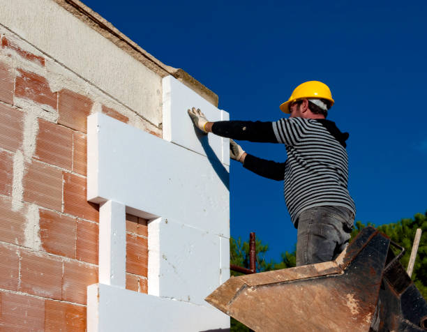 Best Residential Insulation in Caddo Mills, TX
