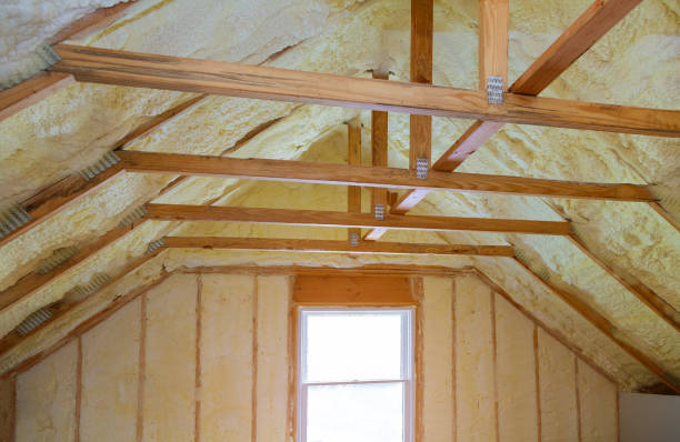 Best Types of Insulation in Caddo Mills, TX