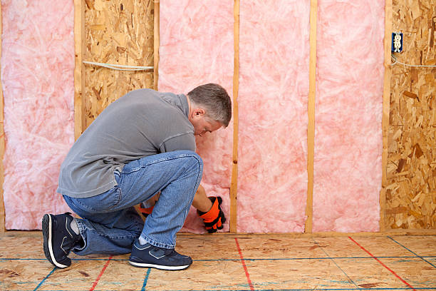 Best Insulation Installation Services in Caddo Mills, TX