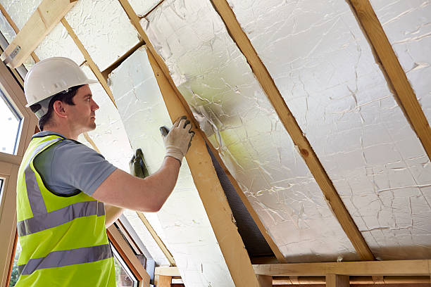 Best Insulation Maintenance and Repair in Caddo Mills, TX